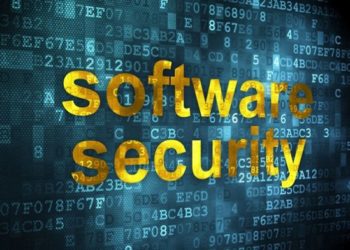 software security
