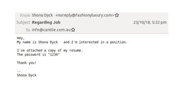 Image of a fake cv