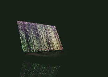 Password Stealer