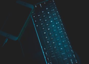 Social Insurance Numbers targeted by phishing scam