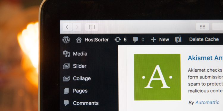 WordPress Plugin Bugs allows Hackers Wipe or Takeover Your Site