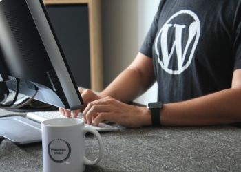 WordPress Vulnerabilities Attacked