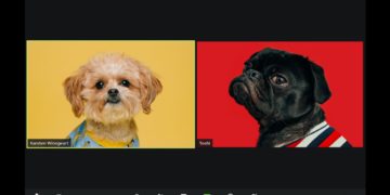 Dogs on Zoom Call