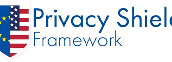 Key EU data transfer tools in focus in Facebook, Schrems clash