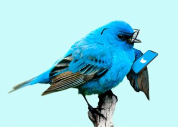 Tweet Chat Twitter Bird