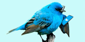 Tweet Chat Twitter Bird