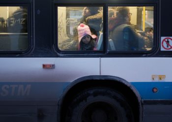 bus