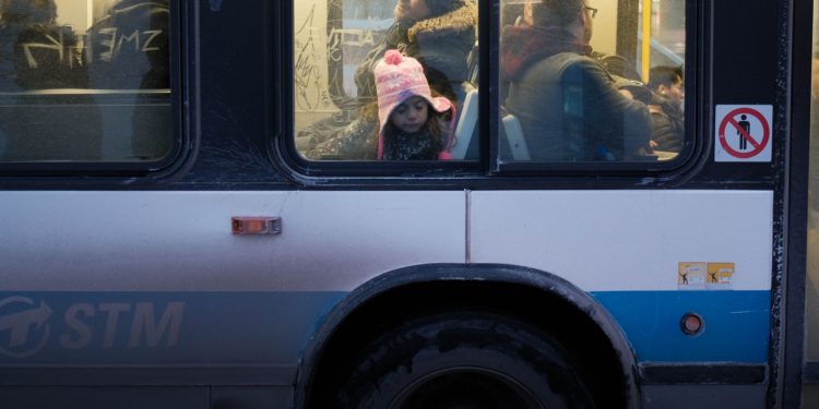 bus