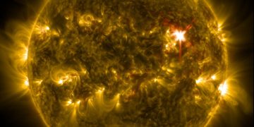 Close up image of the sun/a star.