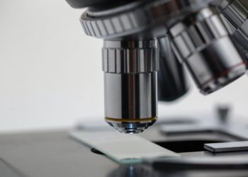 Microscope