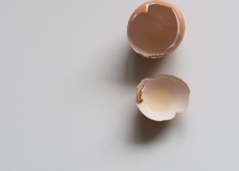 Broken Egg shell