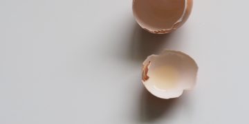 Broken Egg shell
