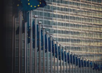 EU flags