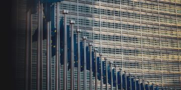 EU flags