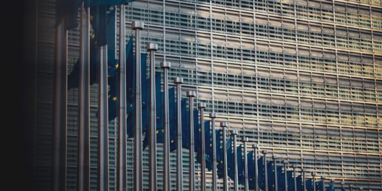 EU flags