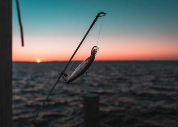 Fishing bait