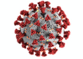 Covid-19 molecule in grey and red