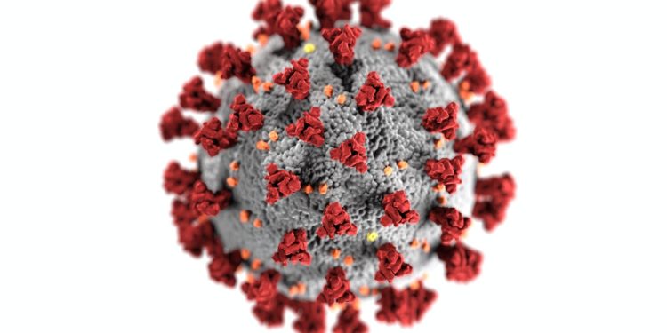 Covid-19 molecule in grey and red