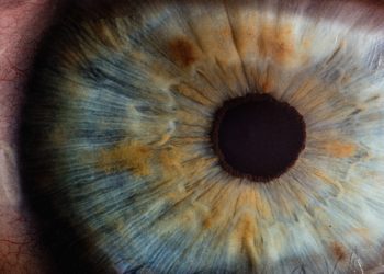 An eye