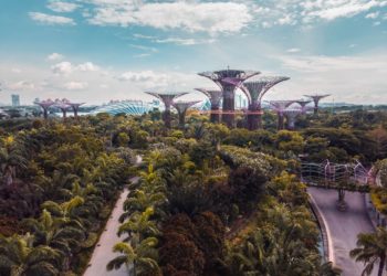 building among trees