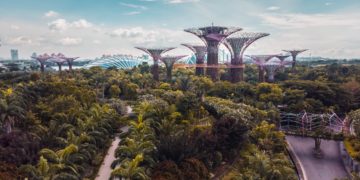 building among trees