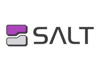 salt security logo