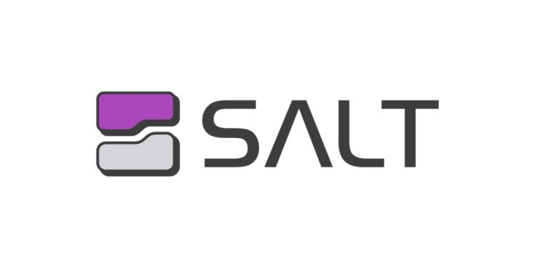 salt security logo