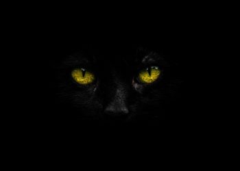 FBI sounds alarm on BlackCat ransomware