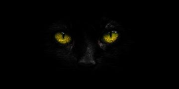 FBI sounds alarm on BlackCat ransomware