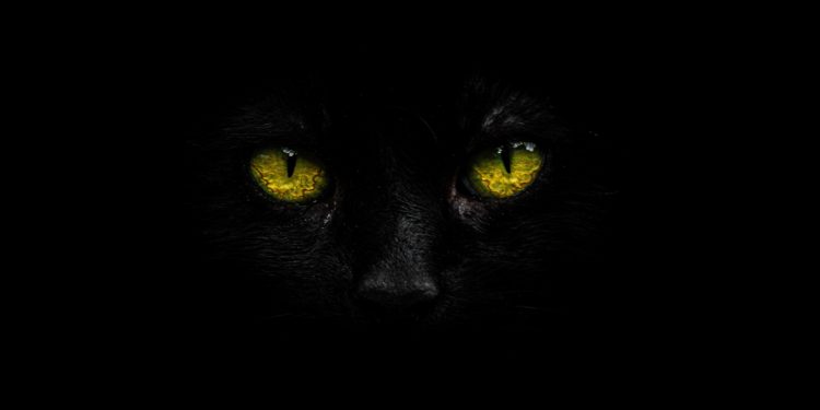 FBI sounds alarm on BlackCat ransomware