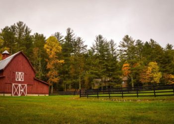 farm