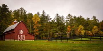 farm