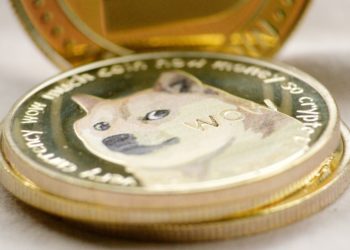doge coin