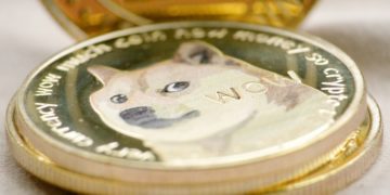 doge coin