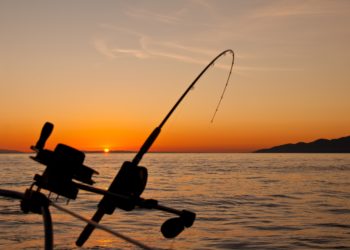 fishing pole