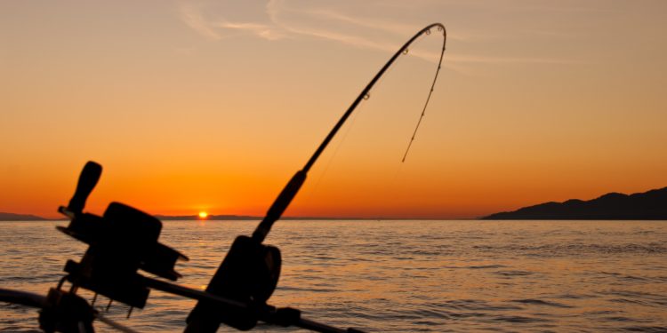 fishing pole