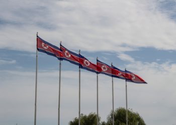 Red and blue flag with white circle and red star (North Korea). Six flags flying in sky. Trees.