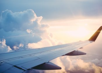 plane wing