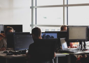 Professionals at computers