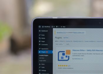 left hand corner of laptop with WordPress open