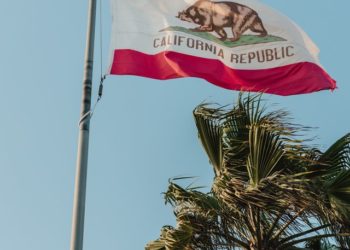 California flag. Grizzly bear on white background.