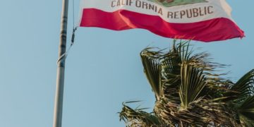 California flag. Grizzly bear on white background.