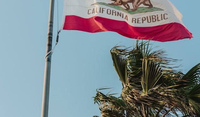 California flag. Grizzly bear on white background.