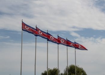 Line of North Korean flags