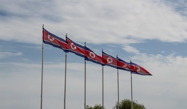 Line of North Korean flags