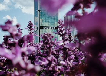 Samsung building. Purple flowers.
