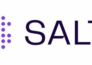 Purple Logo, capitalised letters: SALT.