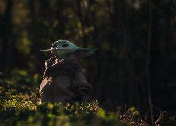 Baby Yoda (credit: unsplash)