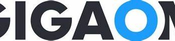 Gigaom logo, blue O