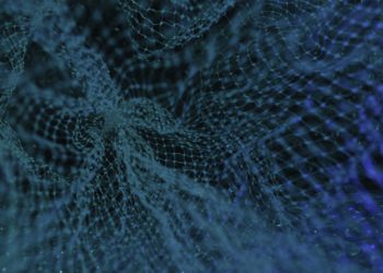 Data Privacy Day 2024: Part 2